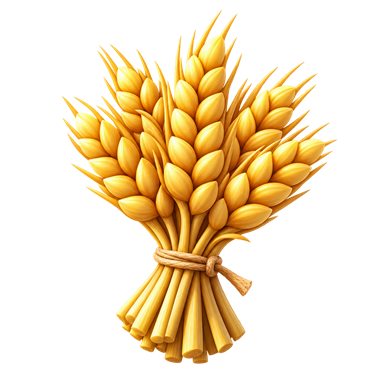 Ubrana pšenica
