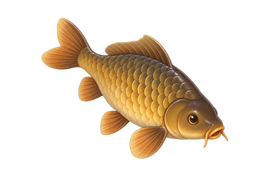 Šaran